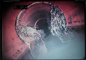 Sewer Camera Inspection